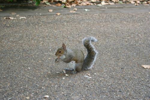 IMG 0018 resize