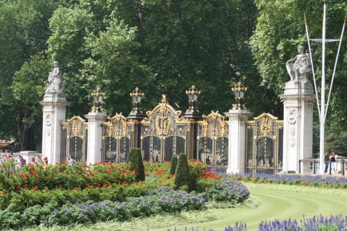 IMG 0026 resize
