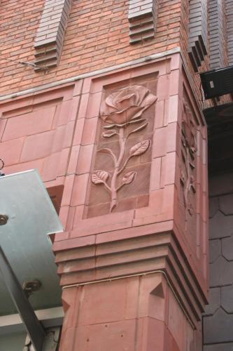 IMG 7822 resize