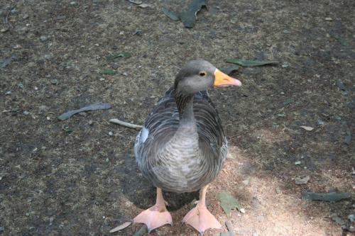 IMG 0241 resize