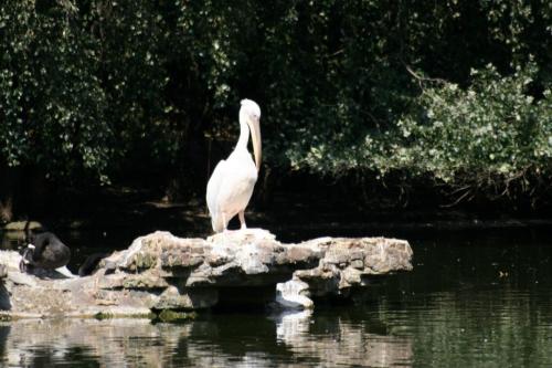 IMG 0245 resize