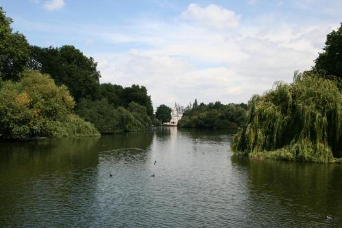 IMG 0268 resize