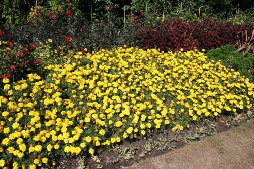 IMG 0304 resize