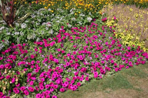 IMG 0317 resize