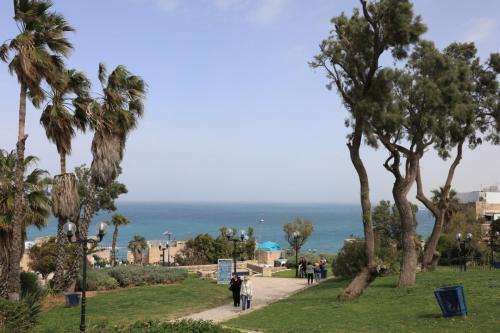 YKP 2771 resize