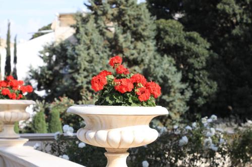 YKP 2934 resize