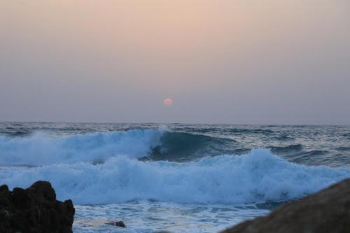 YKP 3198 resize