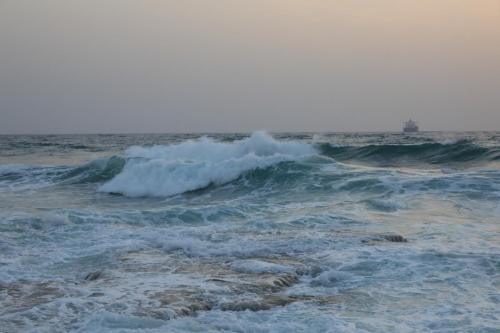 YKP 3263 resize