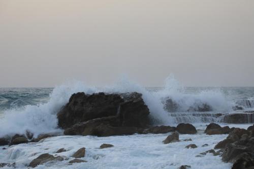YKP 3284 resize