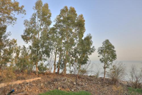 YKP 2725 resize