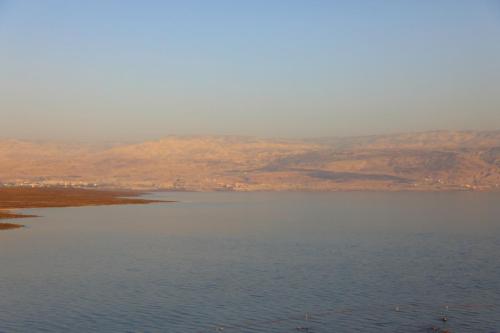 YKP 2435 resize