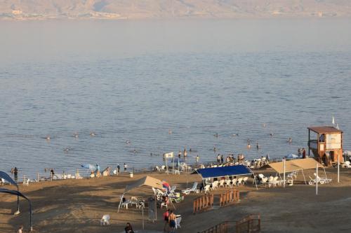 YKP 2437 resize