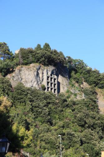 IMG 7690 resize