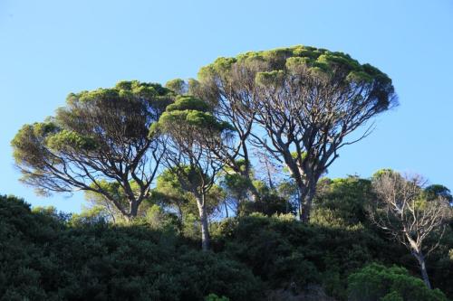 IMG 7695 resize