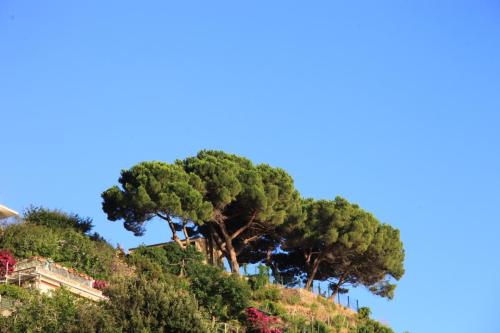 IMG 7714 resize