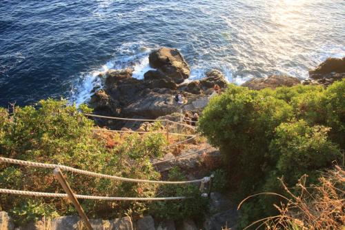 IMG 7792 resize