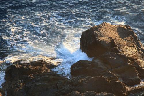 IMG 7798 resize