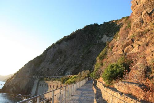 IMG 7814 resize