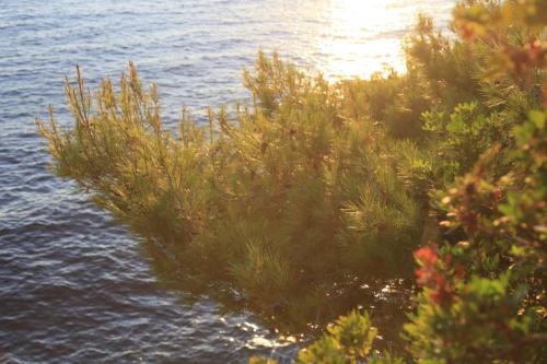IMG 7820 resize