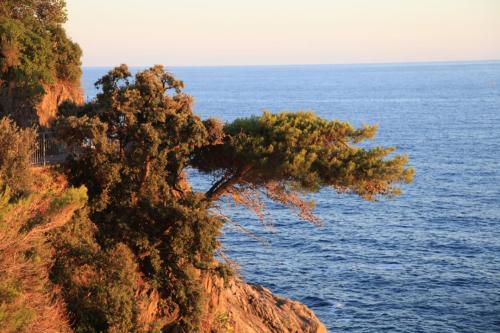IMG 7841 resize