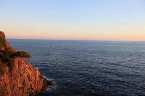 IMG 7853 resize