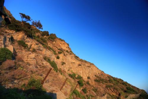 IMG 7855 resize