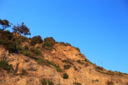 IMG 7856 resize