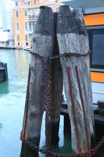 IMG 7309 resize
