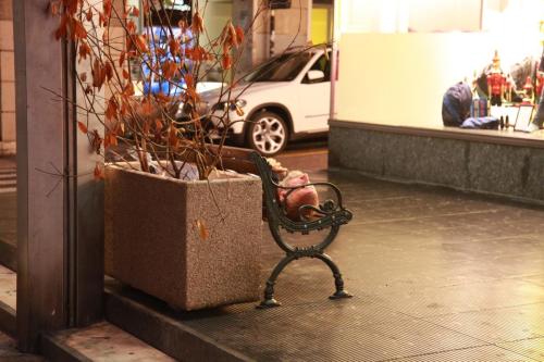 IMG 6692 resize