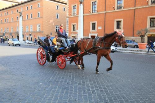IMG 0351 resize
