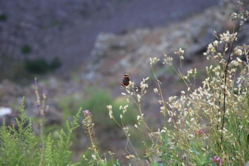 IMG 8683 resize