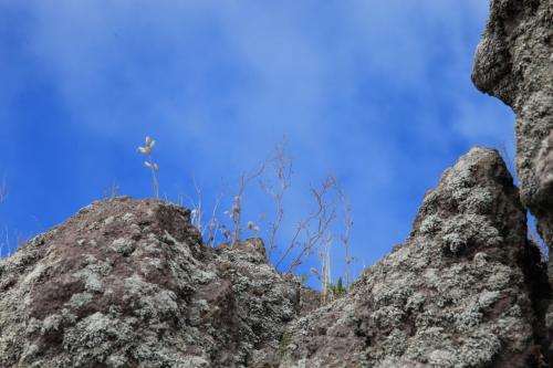 IMG 8689 resize