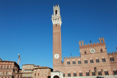 IMG 8049 resize
