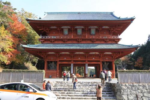 IMG 10882 resize