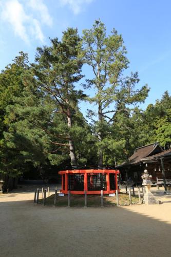 IMG 10900 resize