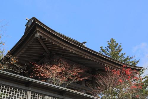 IMG 10960 resize