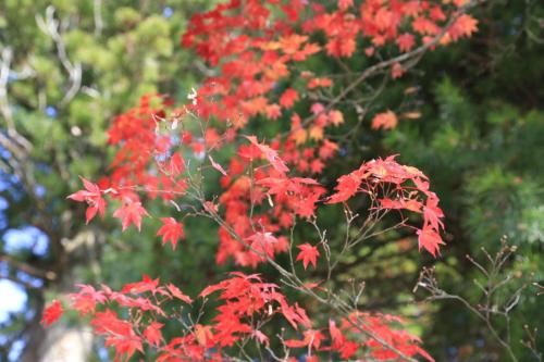 IMG 10965 resize