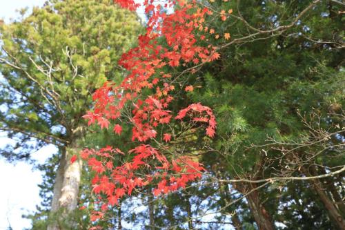IMG 10966 resize