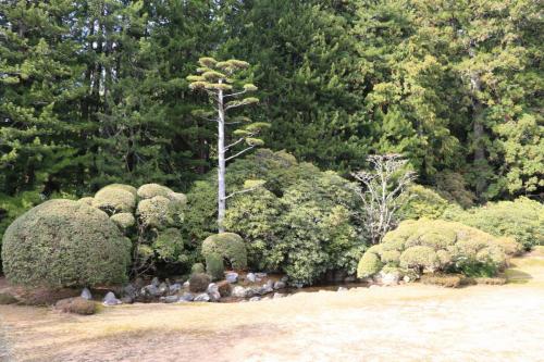 IMG 10999 resize