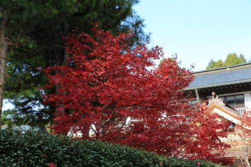 IMG 11015 resize