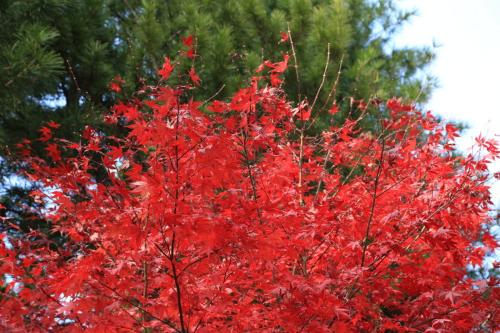 IMG 11017 resize