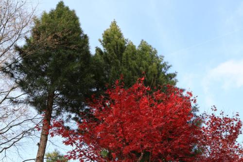 IMG 11018 resize