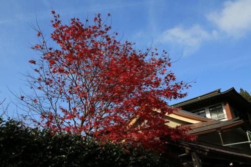IMG 11019 resize