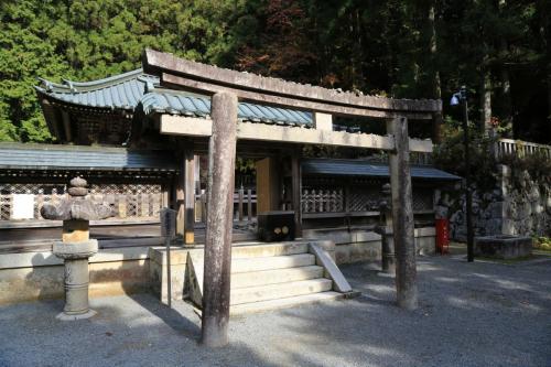 IMG 11022 resize
