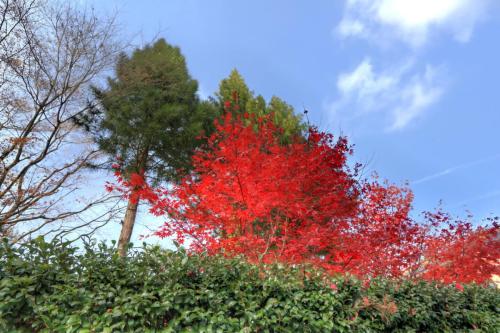 IMG 11035  resize