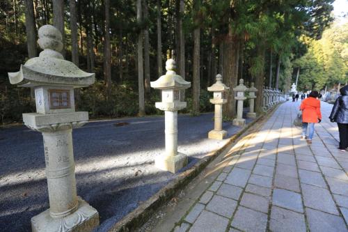IMG 11046 resize