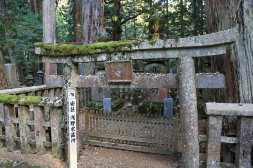 IMG 11070 resize
