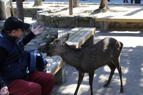 IMG 10550 resize