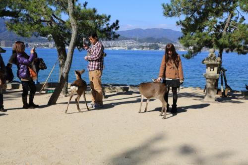 IMG 10575 resize