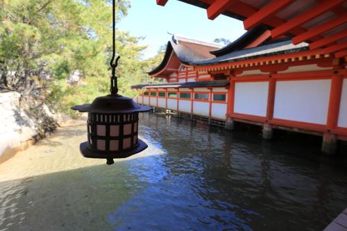 IMG 10597 resize